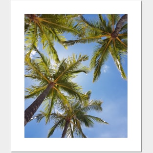 Hawaii palm tree photo Posters and Art